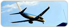 Airport TRansfers